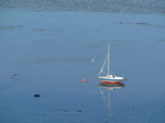 SX11924 Beached sailboat on Swansea Bay mud sands.jpg